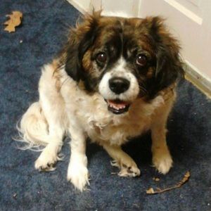 Meet your Posher, Harley